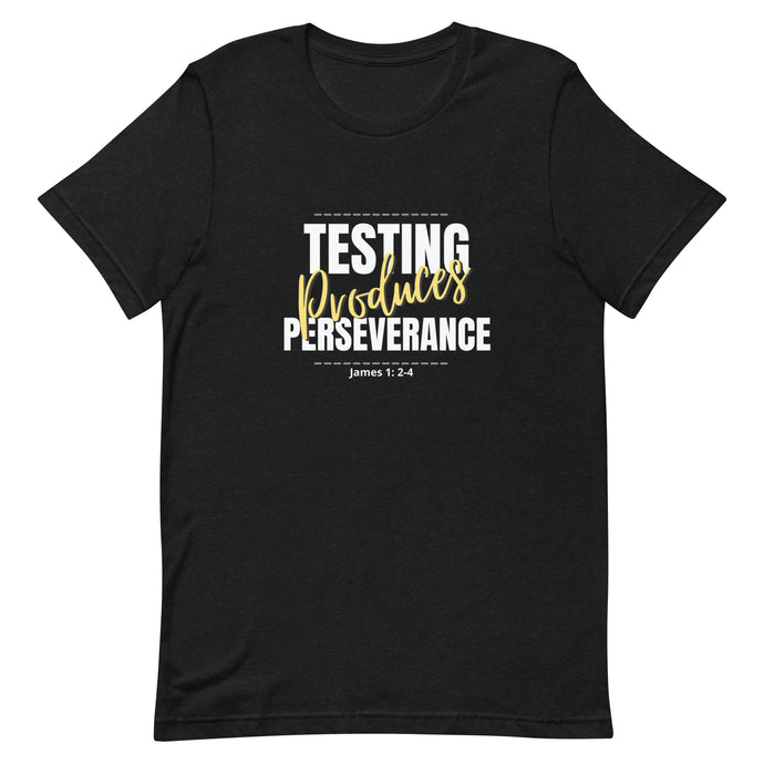 Testing Produces Perseverance